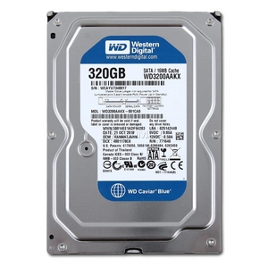 WD Blue 320 GB Desktop Hard Drive: 3.5 Inch, 7200 RPM, SATA III, 16 MB Cache (WD3200AAKX)